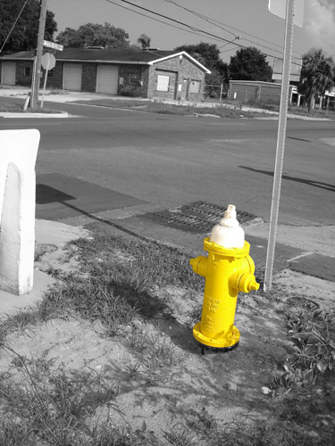 Yellow & White Hydrant